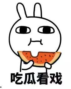 娱乐圈吃瓜沙雕动画,沙雕动画中的吃瓜盛宴，笑料百出！